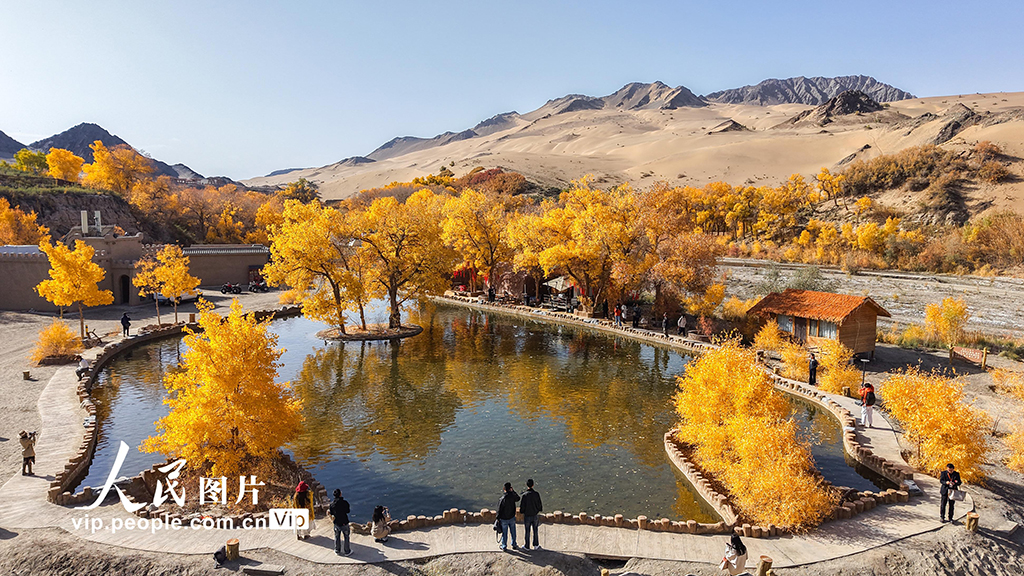 胡杨峡景区秋景如画【6】