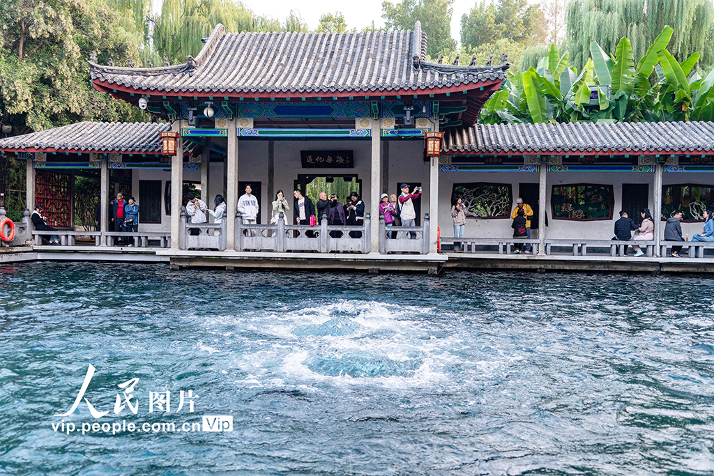 山东济南：趵突泉再现“趵突腾空”景象【2】