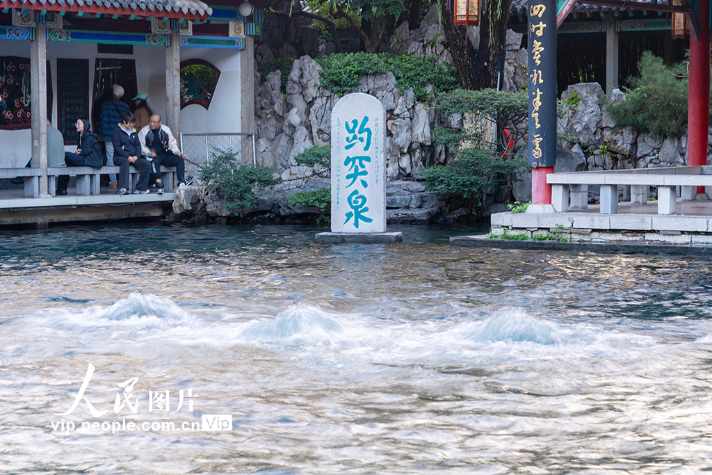 山东济南：趵突泉再现“趵突腾空”景象【3】