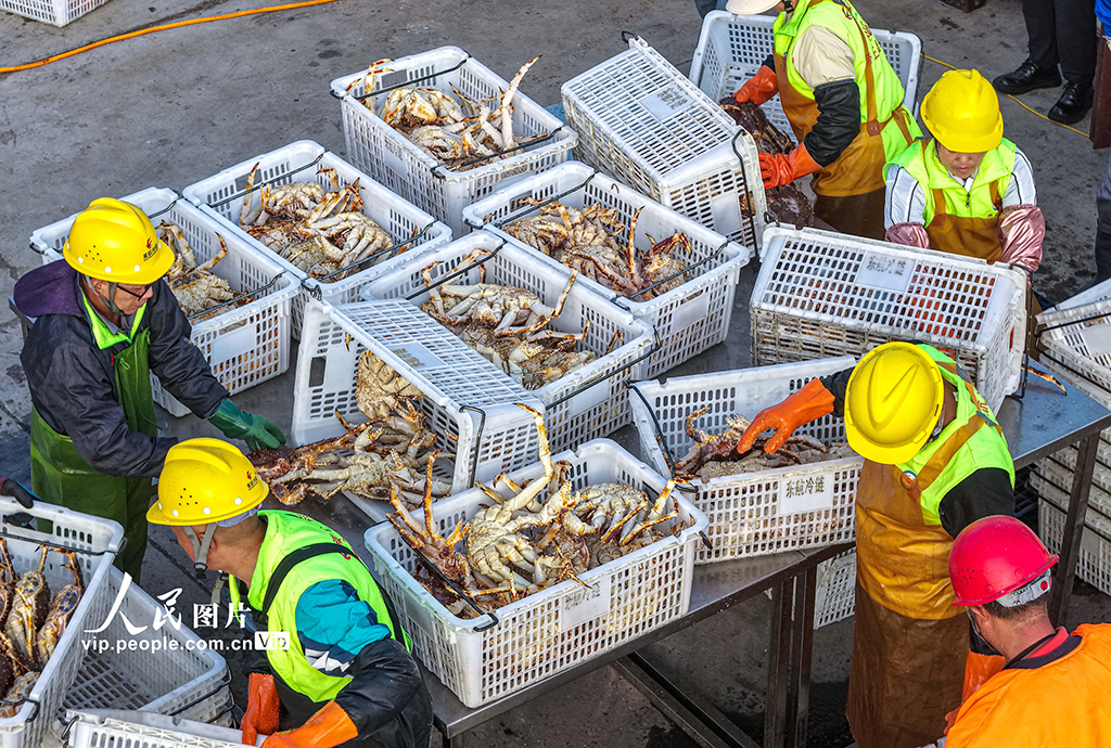 山东荣成：帝王蟹抢“鲜”通关 直达全国市场【5】