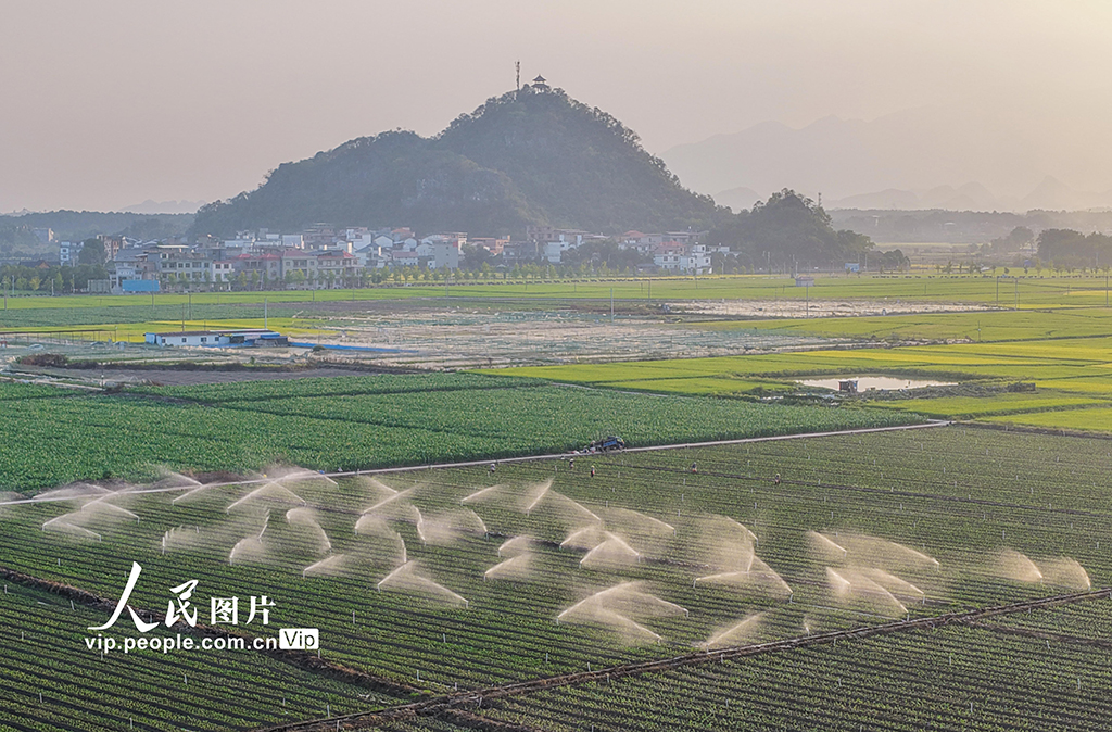 湖南道县：节水灌溉促增收【2】