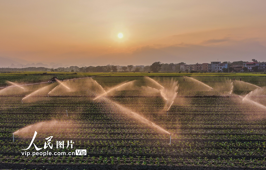 湖南道县：节水灌溉促增收【7】