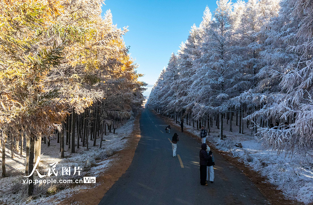 内蒙古呼和浩特：哈达门国家森林公园雾凇美如画【3】