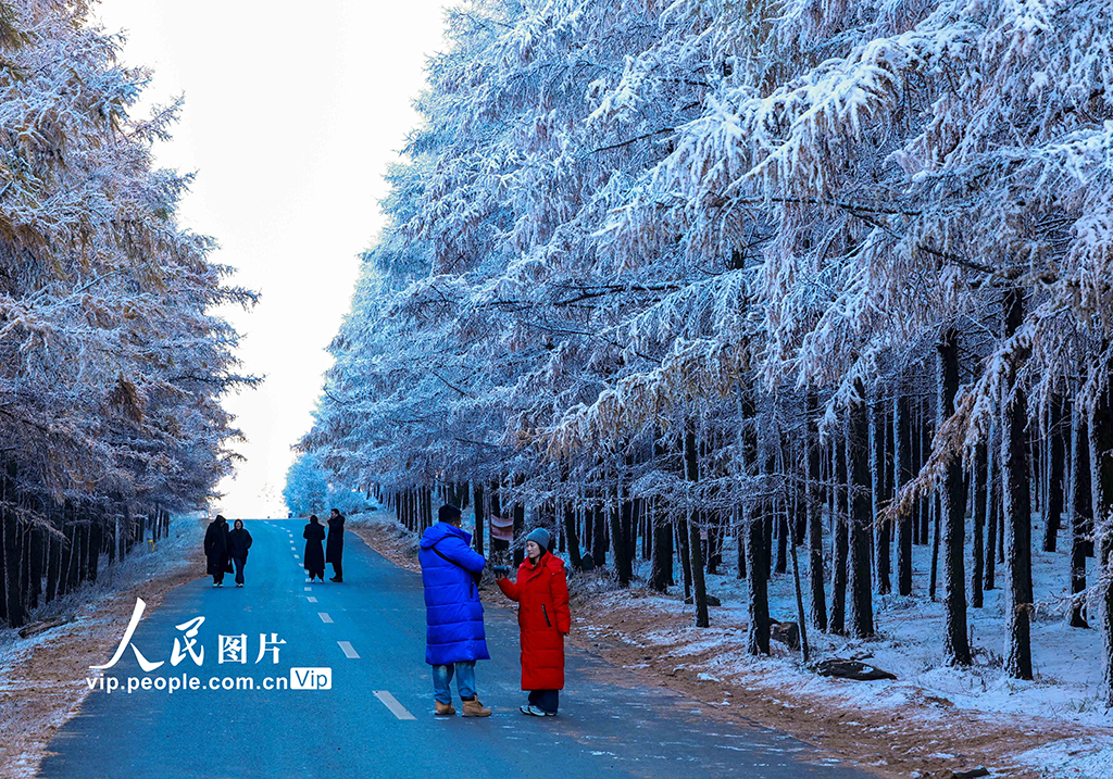 内蒙古呼和浩特：哈达门国家森林公园雾凇美如画【5】