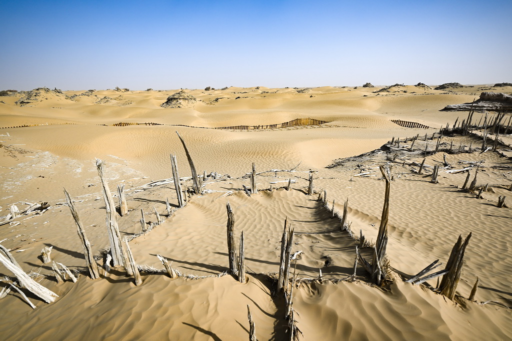 这是尼雅遗址内建筑遗迹等（10月17日摄）。