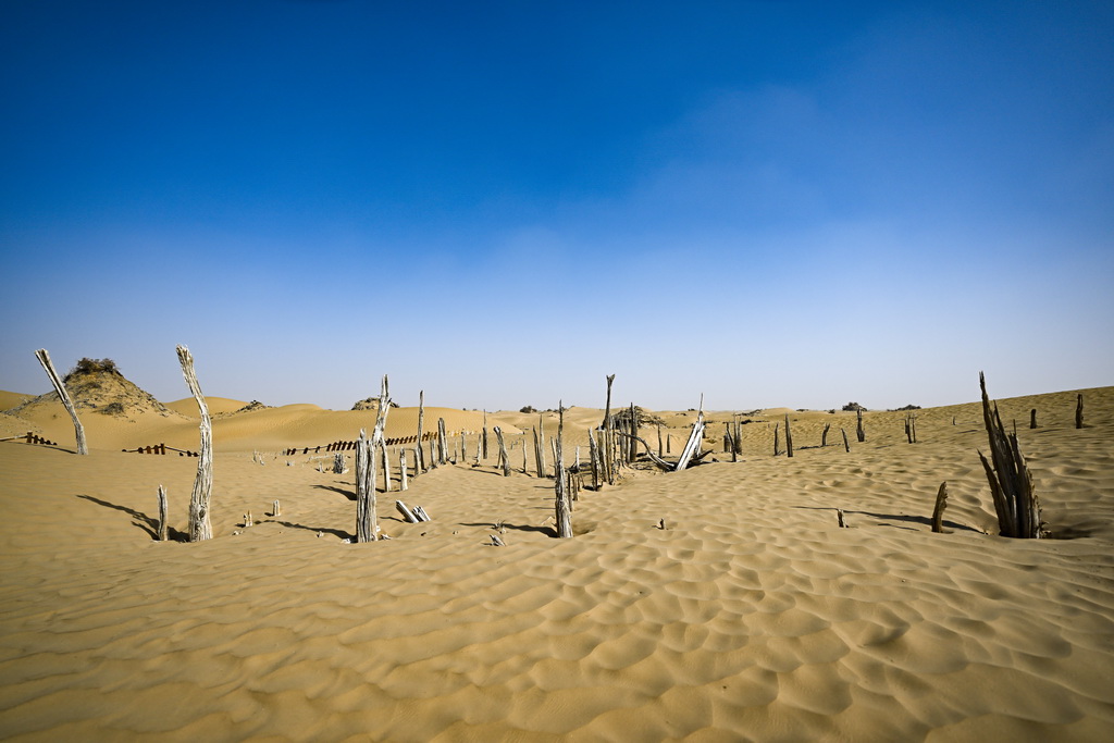 这是尼雅遗址内建筑遗迹等（10月17日摄）。