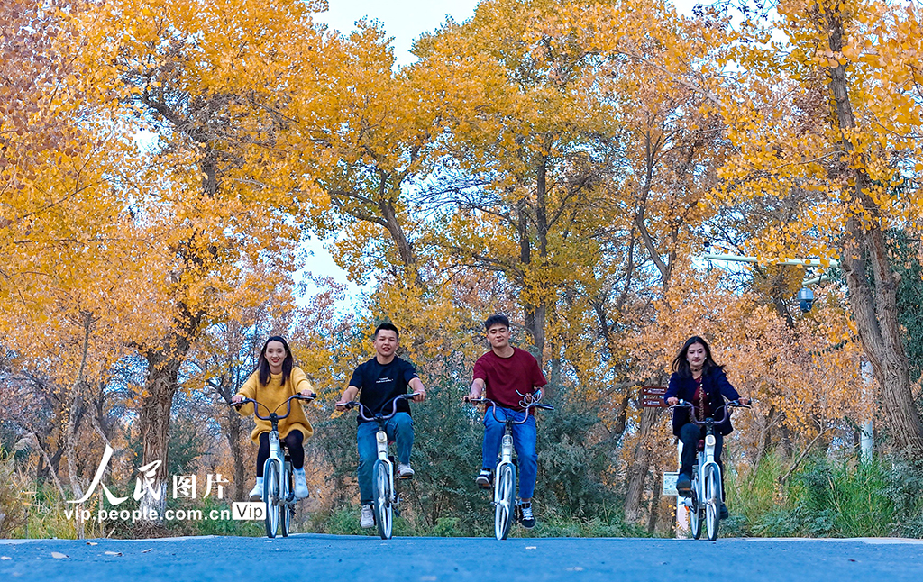 新疆泽普：胡杨披金【5】