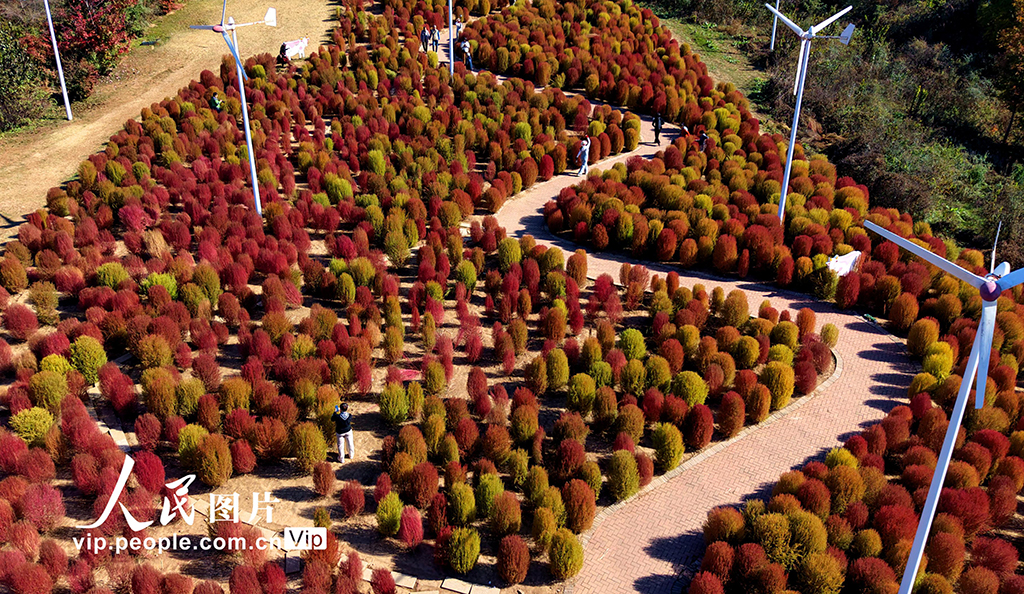 辽宁沈阳：赏秋正当时【2】