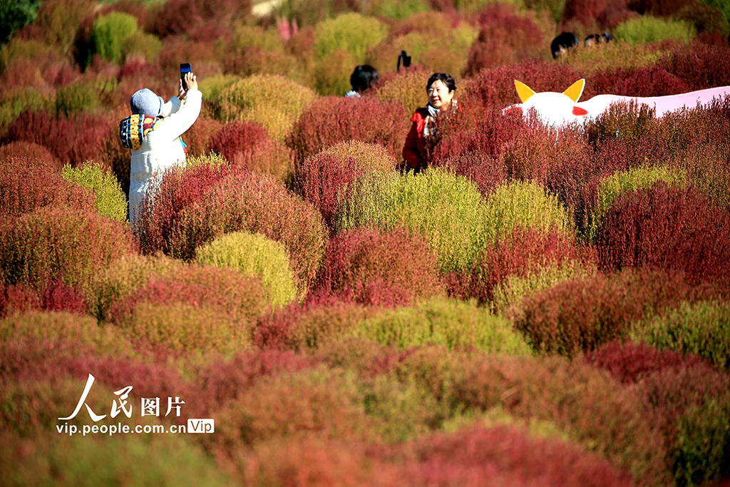 辽宁沈阳：赏秋正当时【3】