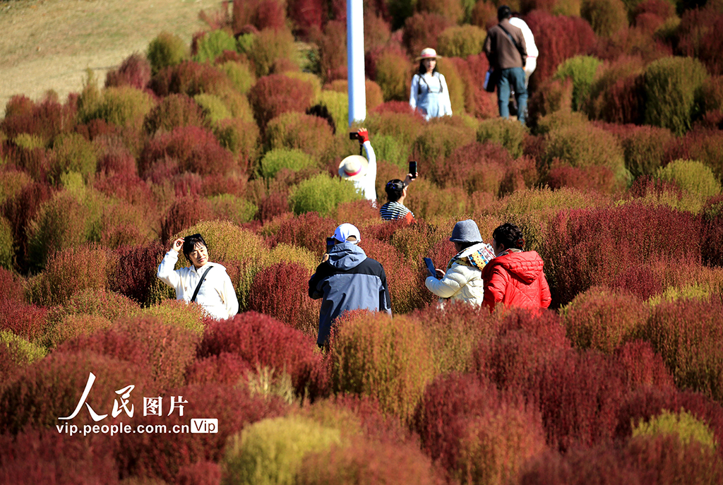 辽宁沈阳：赏秋正当时【4】
