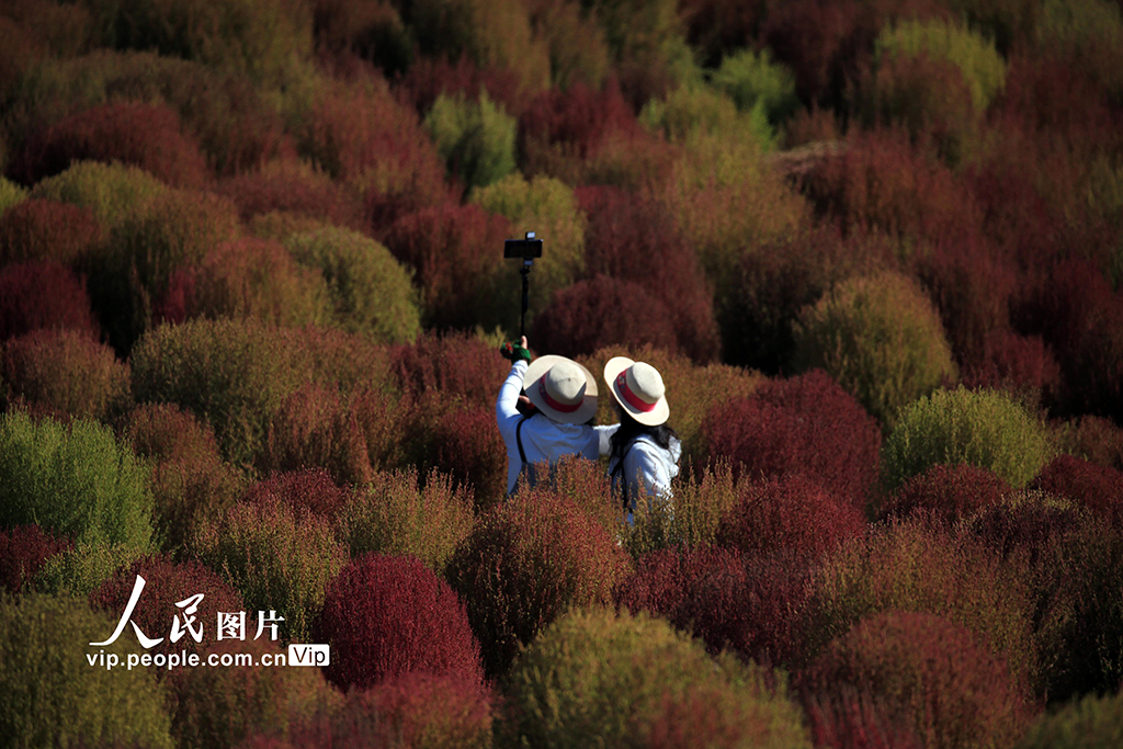 辽宁沈阳：赏秋正当时【6】