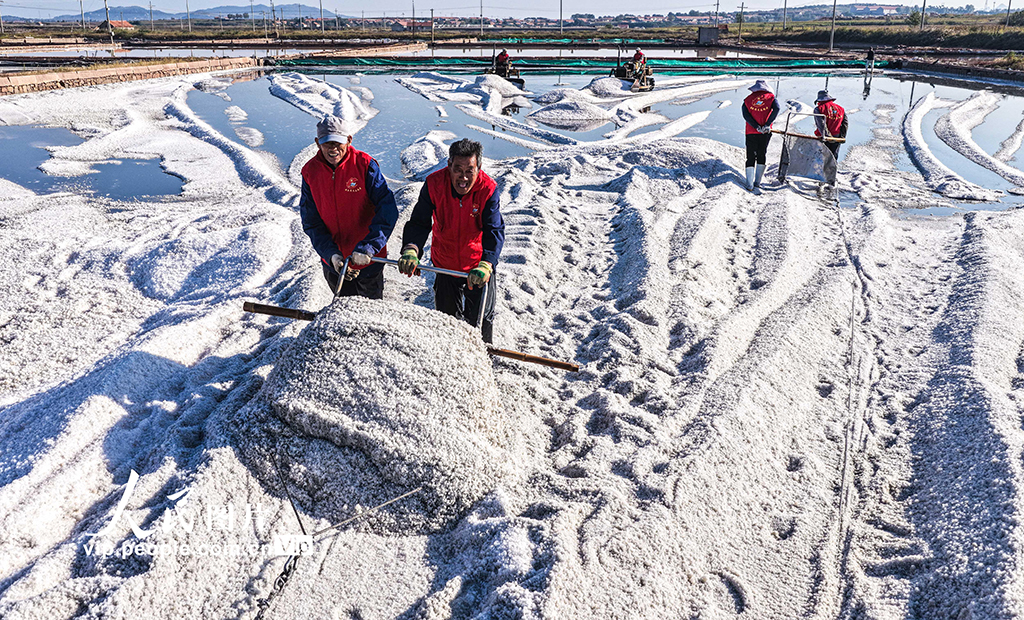 山东荣成：海盐丰收【2】