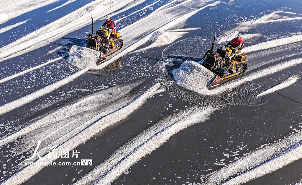 山东荣成：海盐丰收【6】
