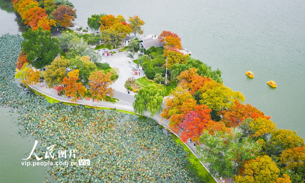 江苏南京：玄武湖秋景如画【2】