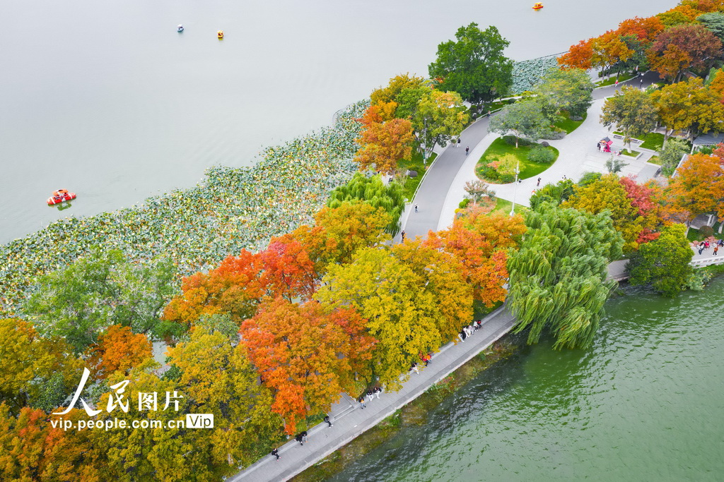 江苏南京：玄武湖秋景如画【3】
