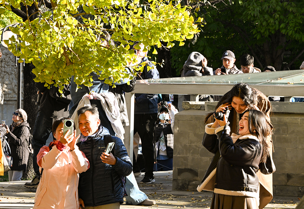 10月26日，游客在北京石刻艺术博物馆拍照留影。 