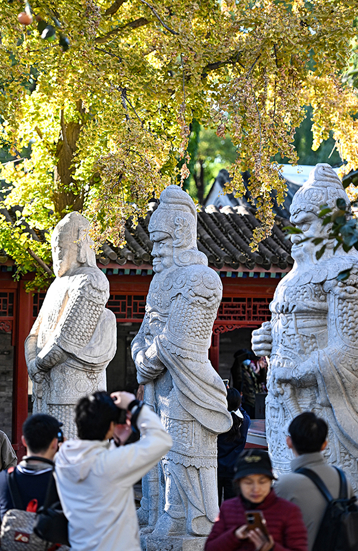 10月26日，游客在北京石刻艺术博物馆拍照留影。