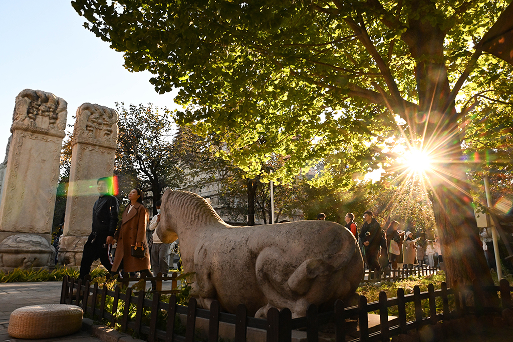 10月26日，游客在北京石刻艺术博物馆游览。