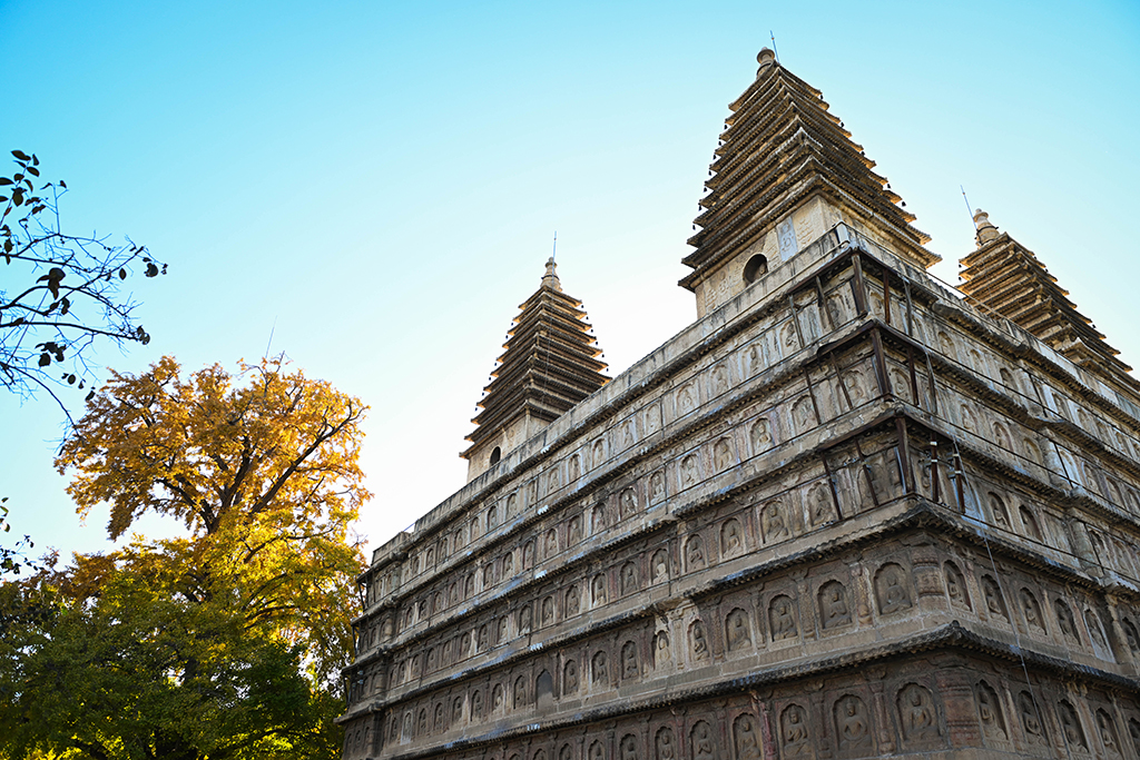 金刚宝座塔与泛黄的银杏树相映成趣（10月26日摄）。