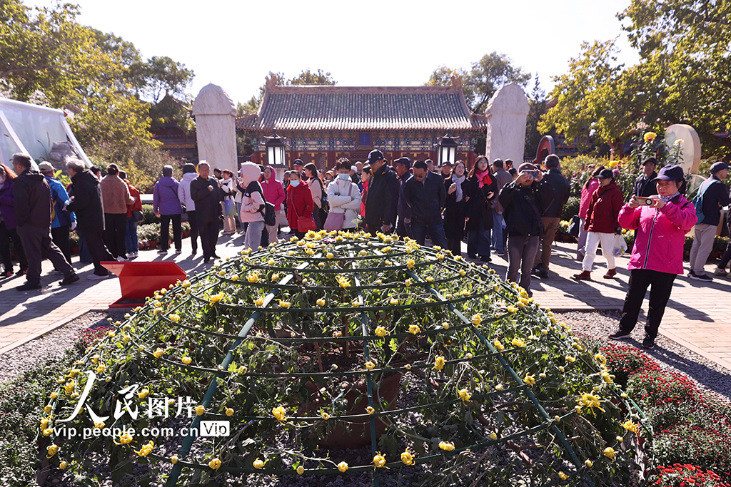 北京：北海公园菊花盛开【2】