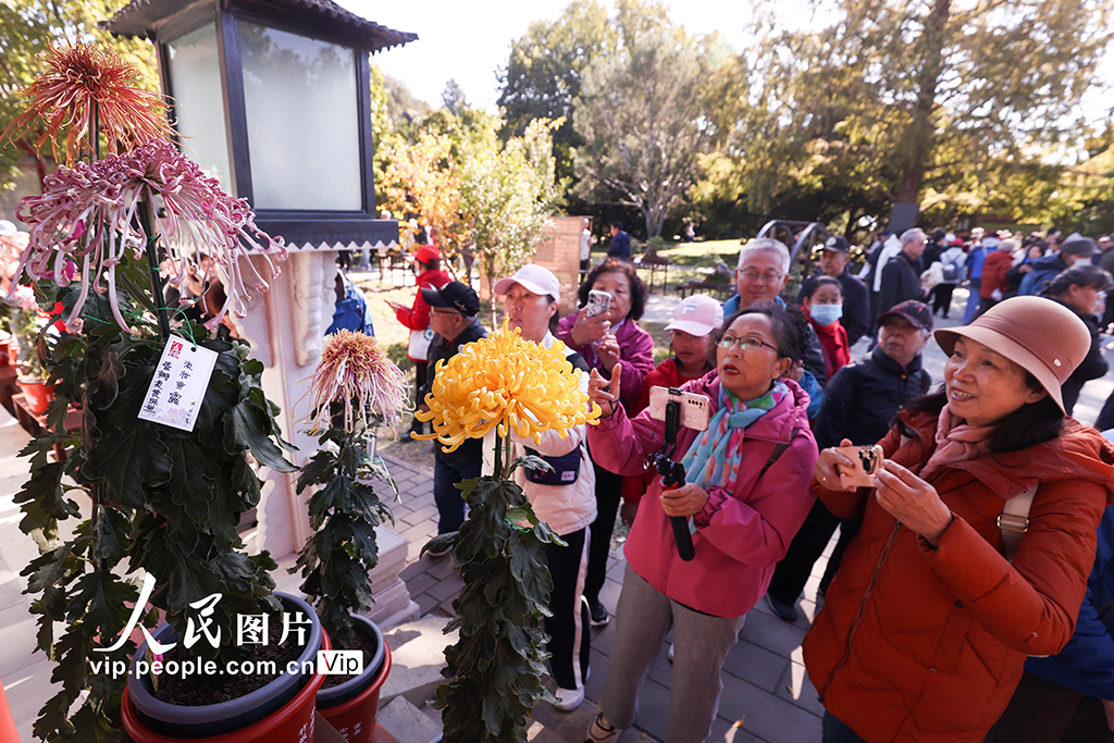 北京：北海公园菊花盛开【3】