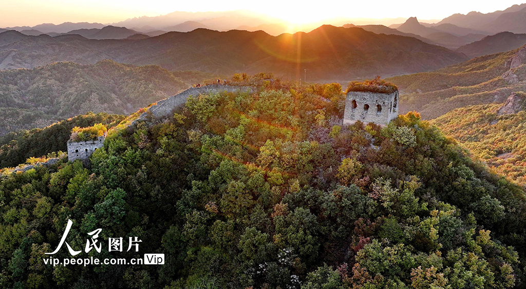 河北秦皇岛：彩叶映长城【4】