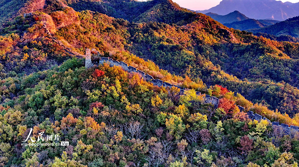 河北秦皇岛：彩叶映长城【5】