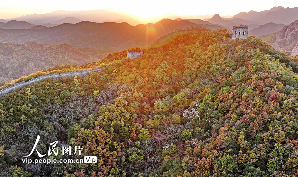 河北秦皇岛：彩叶映长城【6】