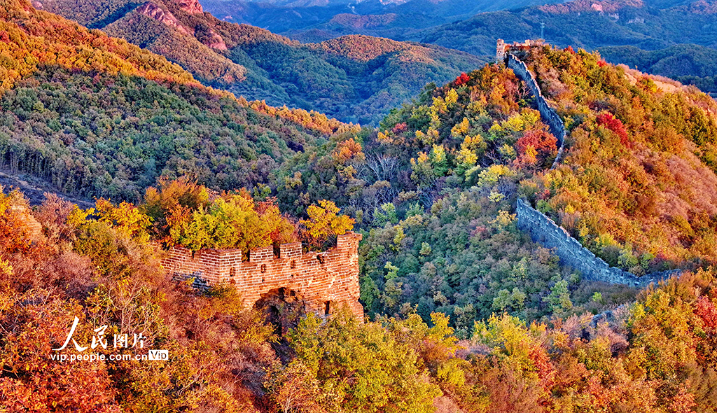 河北秦皇岛：彩叶映长城【8】