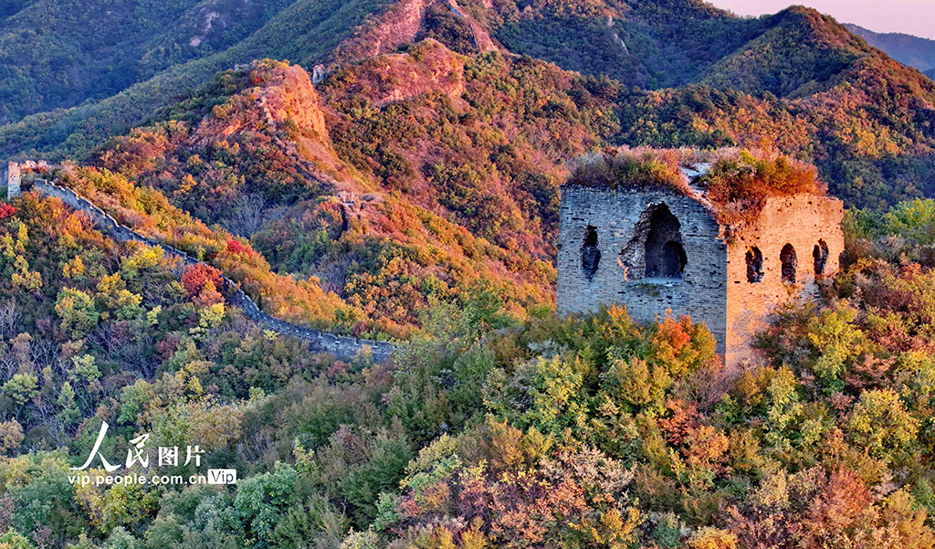 河北秦皇岛：彩叶映长城【9】