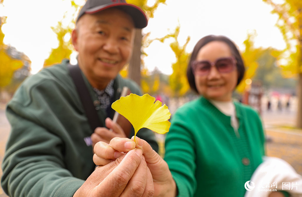 10月24日，山西省太原市晋祠博物馆秋意浓，一对老年夫妇手持银杏叶向记者的相机展示深秋之色。人民网记者 王帆摄
