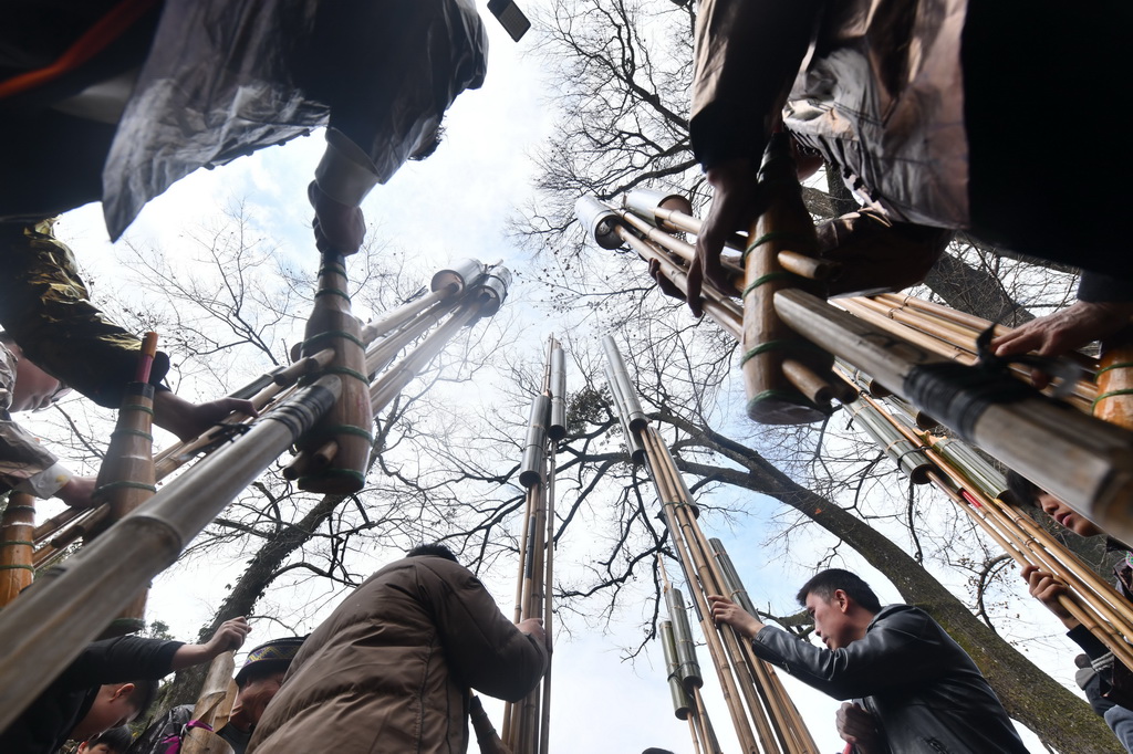 在广西柳州市融水苗族自治县杆洞乡乌英苗寨，村民们在树下吹芦笙，欢度春节（2025年1月29日摄）。