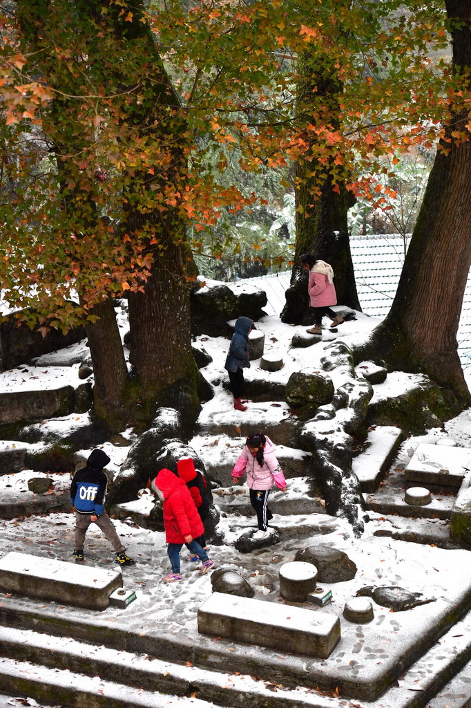 在广西柳州市融水苗族自治县杆洞乡乌英苗寨，孩子们在树下玩雪（2021年12月26日摄）。