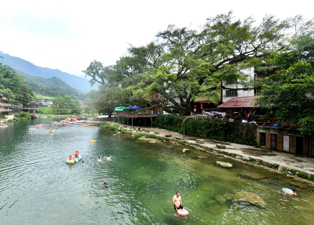 在广西柳州市融水苗族自治县香粉乡雨卜村，游客在树旁的河里戏水（2025年7月20日摄）。