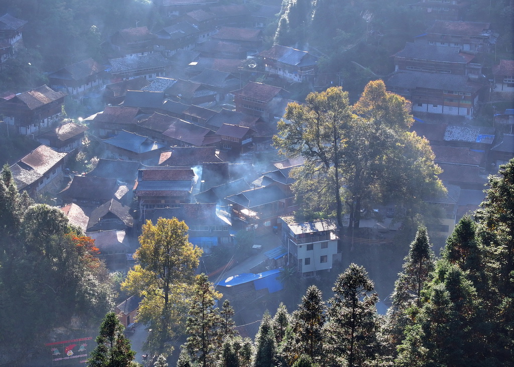 树木掩映下的广西柳州市融水苗族自治县杆洞乡乌英苗寨（无人机照片，2024年11月9日摄）。