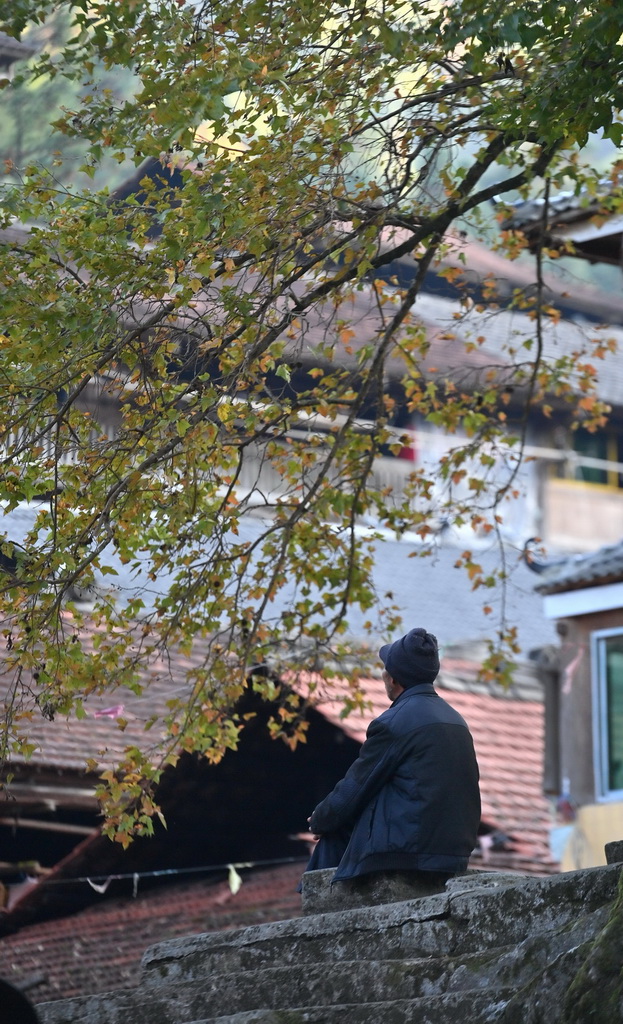 在广西柳州市融水苗族自治县杆洞乡乌英苗寨，老人在树下休息（2024年11月7日摄）。