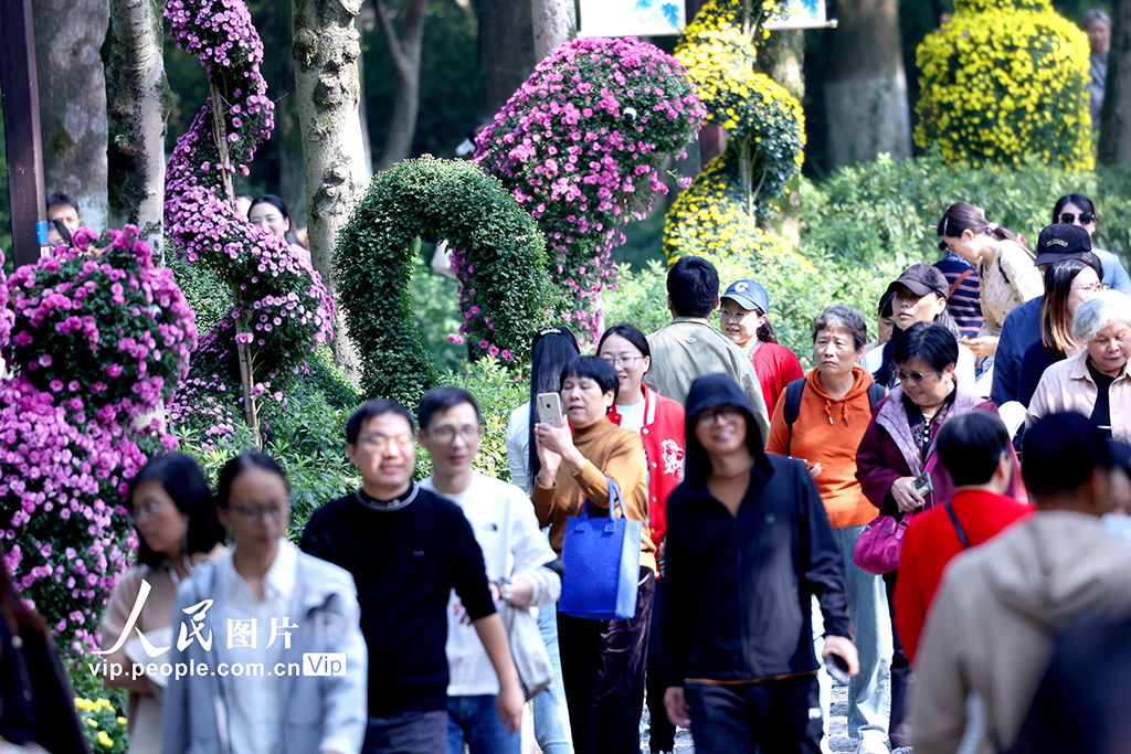 浙江杭州：菊花盛开游客来【6】
