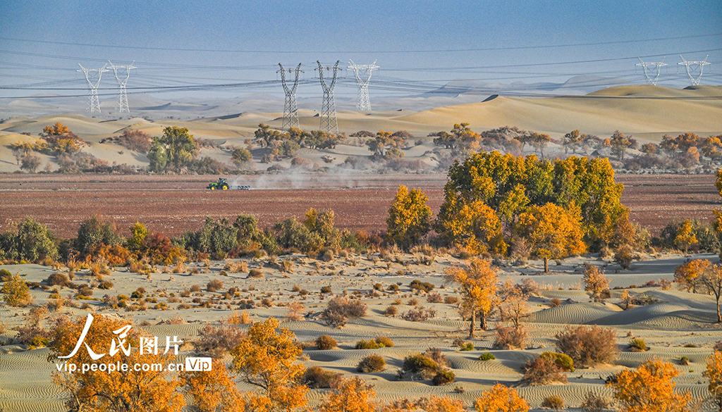 新疆生产建设兵团：筑起生态安全屏障【4】