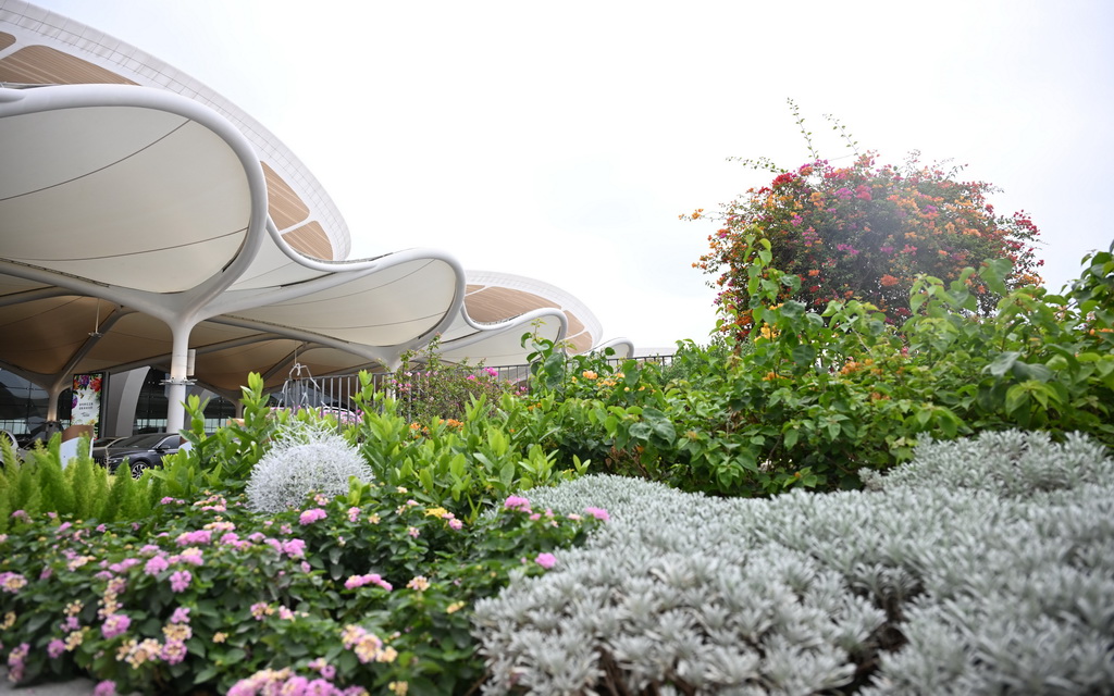 这是10月24日拍摄的广州白云机场T3航站楼外景。