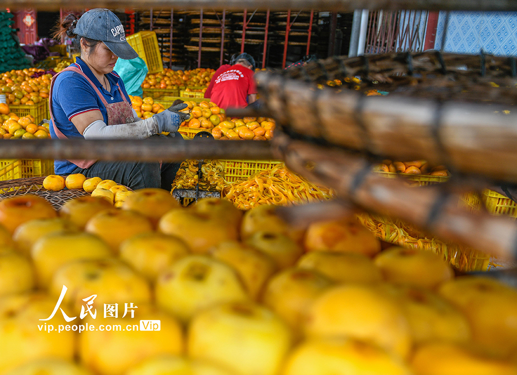 广西平乐:柿子熟了【2】