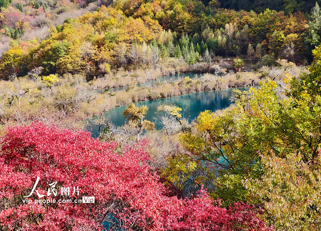 九寨沟 层林尽染【8】