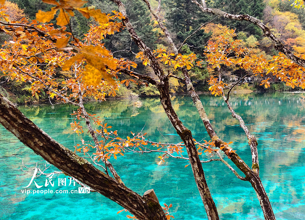 九寨沟 层林尽染【3】