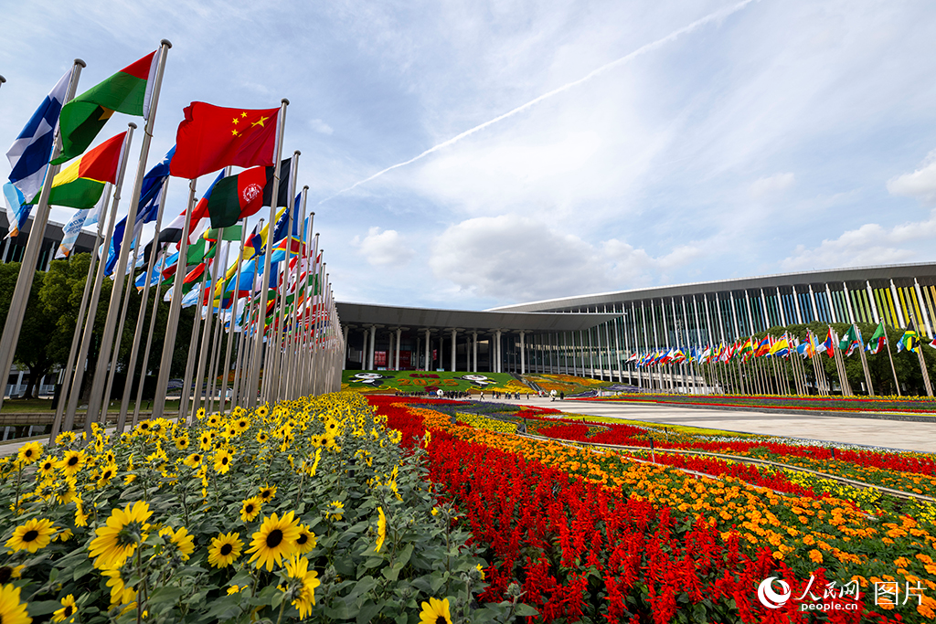 上海:花团锦簇 国旗飘扬迎盛会【4】