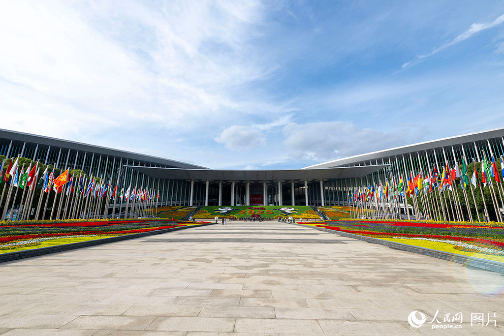 上海:花团锦簇 国旗飘扬迎盛会【7】