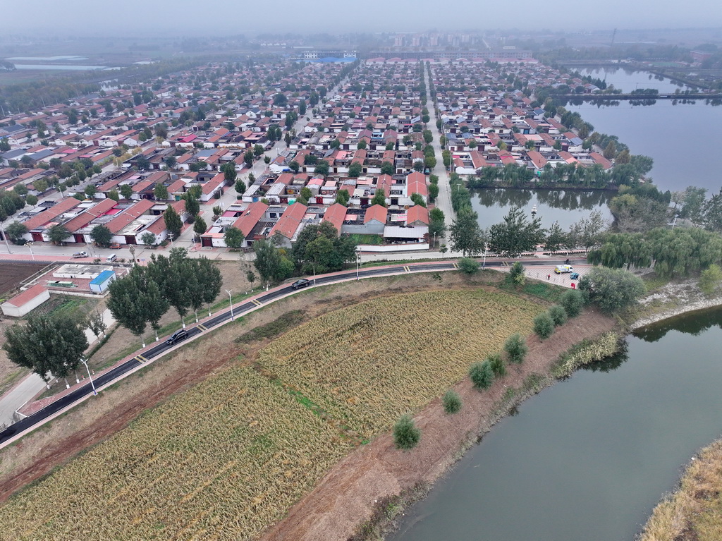 河北省沧州市青县境内大运河堤顶路沿线的村庄(10月31日摄,无人机照片)。