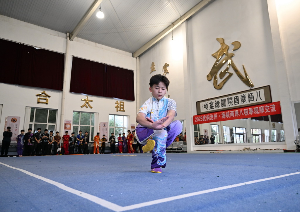 10月31日,在大运河堤顶路沿线的河北省沧州市青县八极拳国际训练基地,学员练习武术。