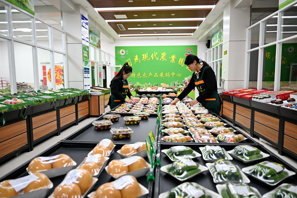 10月31日,大运河堤顶路沿线的河北省沧州市青县司马庄村绿豪农业专业合作社社员在整理蔬菜。