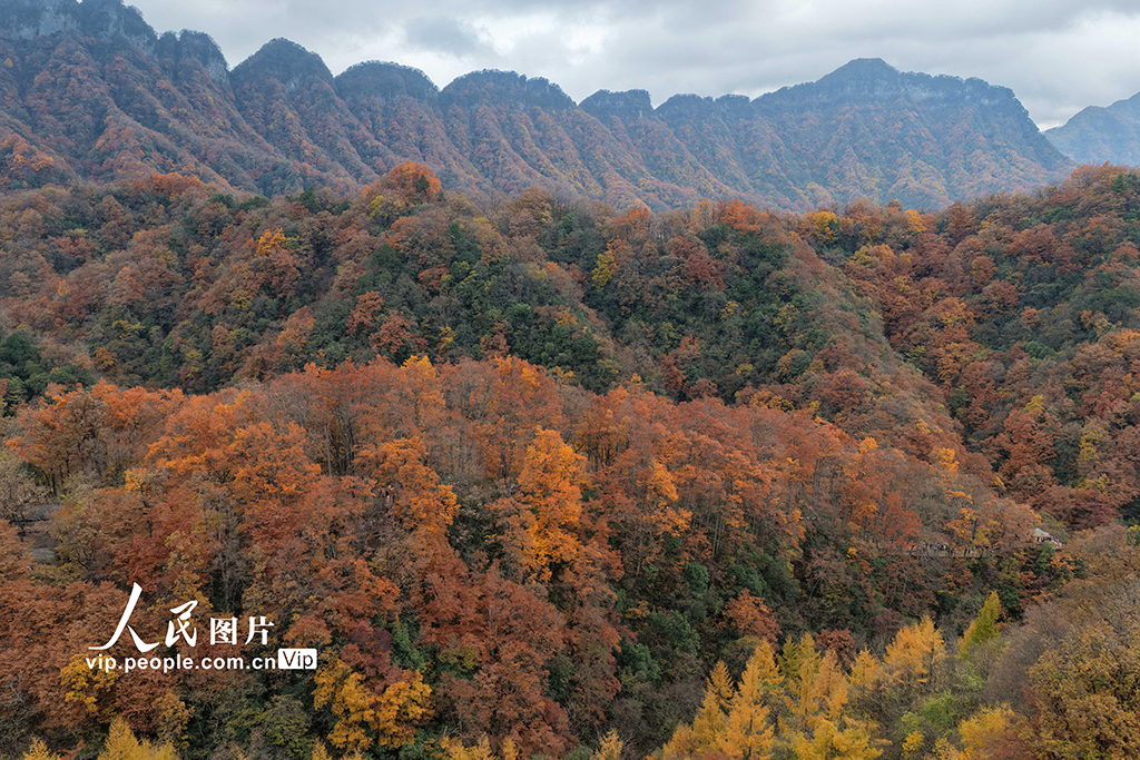 四川巴中：光雾山层林尽染【3】