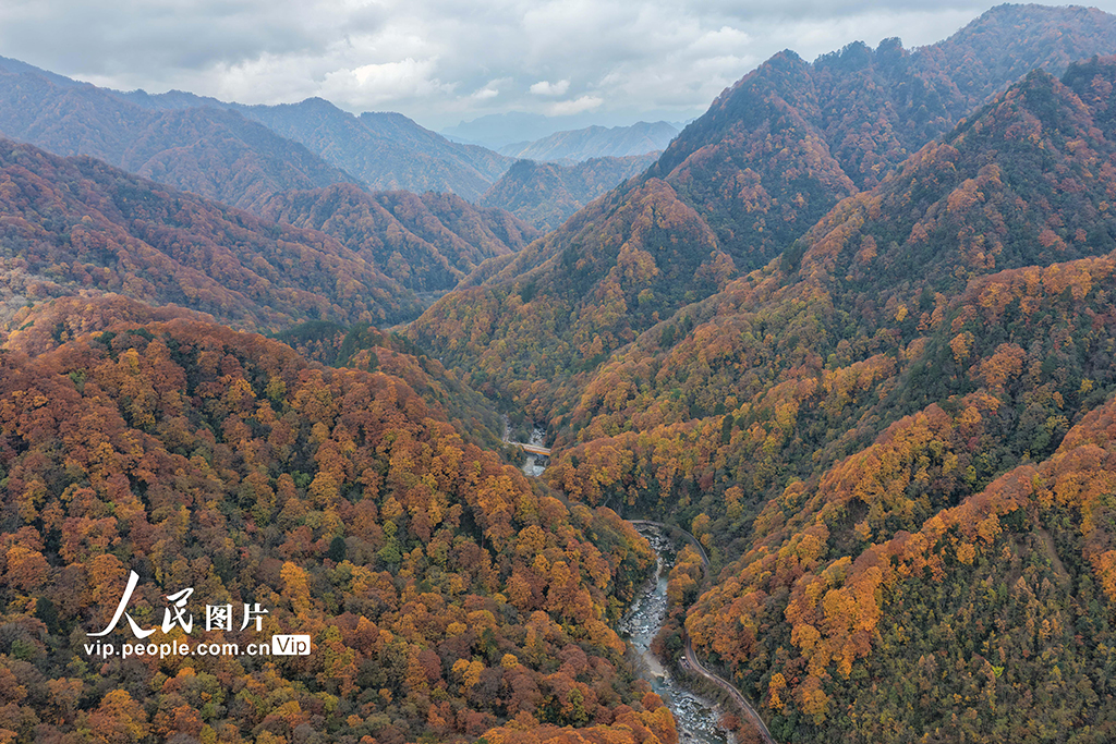 四川巴中：光雾山层林尽染【7】