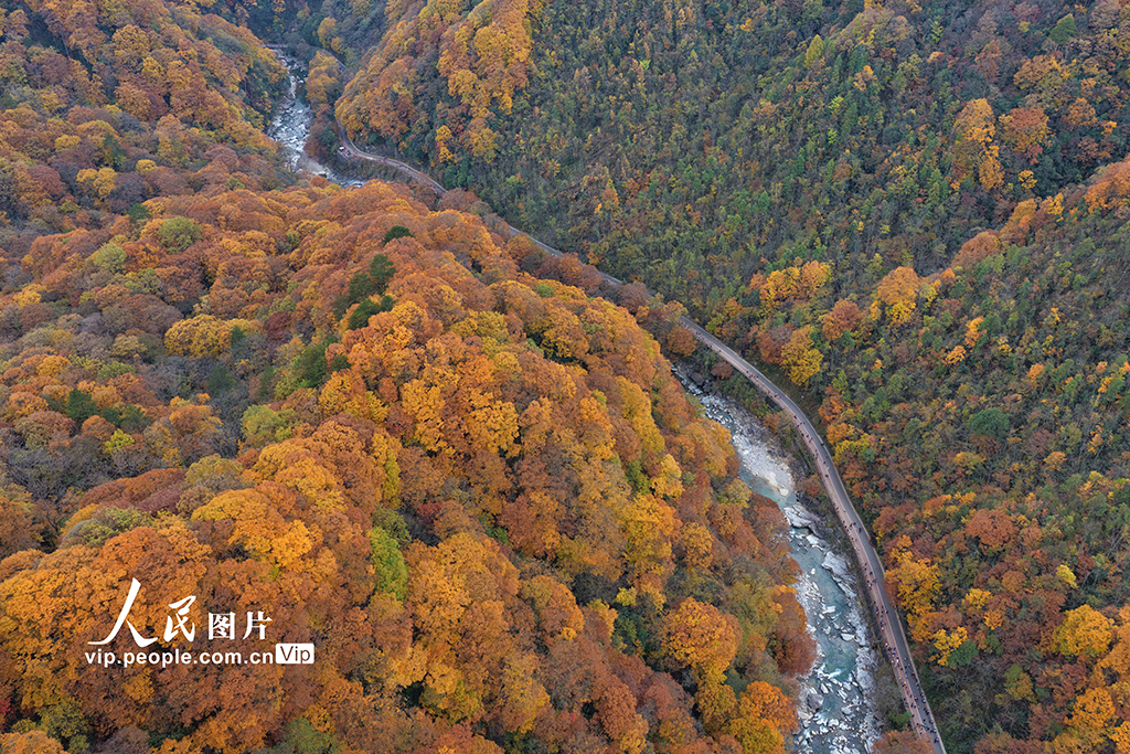 四川巴中：光雾山层林尽染【8】